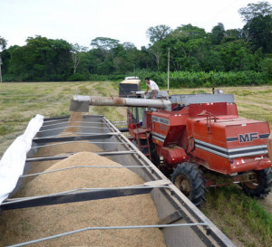 28d703_64f55012c9fc4f819662cc358a0aef11.jpg_srb_p_600_432_75_22_0.50_1.20_0.00_jpg_srb