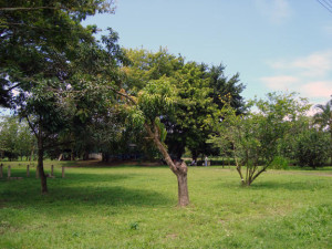 28d703_b2c449a6fbcc486ba60acb7f7b0aa47c.jpg_srb_p_600_432_75_22_0.50_1.20_0.00_jpg_srb