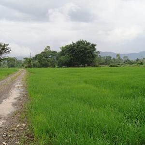 28d703_b716bf46e5ed4b018e2603df45a7507d.jpg_srz_p_301_301_75_22_0.50_1.20_0.00_jpg_srz