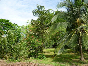 28d703_dc422f40f057497e9f33b86d3244391d.jpg_srb_p_719_539_75_22_0.50_1.20_0.00_jpg_srb