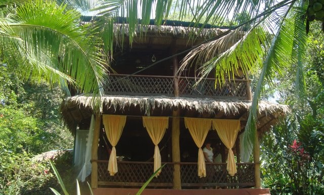 front house view from garden
