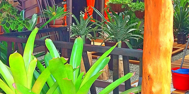 Fotor_144303991878293