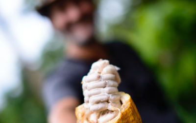 Natural & Organic Food in Puerto Viejo