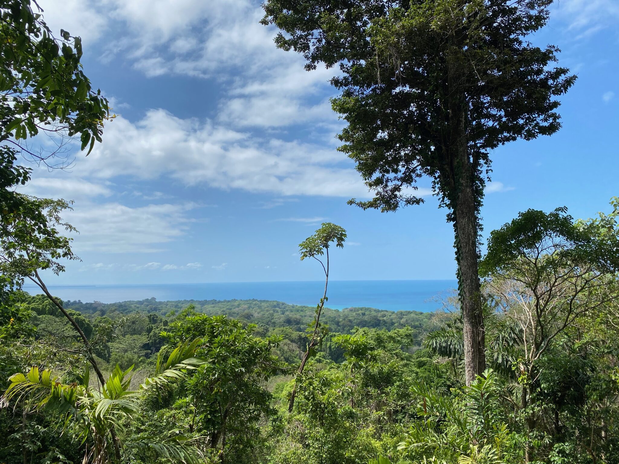 Titled Ocean View Lot in Manzanillo Near Puerto Viejo