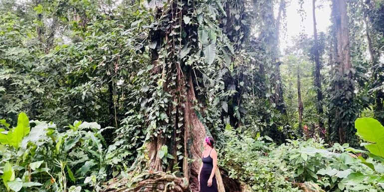 PHOTO-2023-12-28-20-23-35