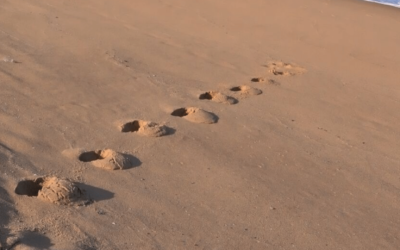 Designing Your Dream – Early Retirement in Costa Rica