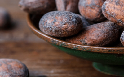 Bribri Tours: Experience the Largest Indigenous Community in Costa Rica!